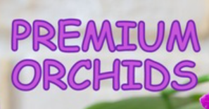 231.png